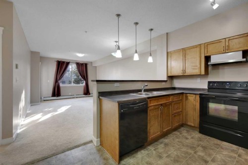 1224-2370 Bayside Road Sw, Airdrie, AB - Indoor Photo Showing Kitchen With Double Sink