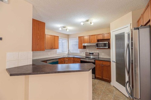 427 Saddlebrook Way Ne, Calgary, AB - Indoor Photo Showing Kitchen With Double Sink