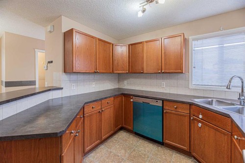 427 Saddlebrook Way Ne, Calgary, AB - Indoor Photo Showing Kitchen With Double Sink