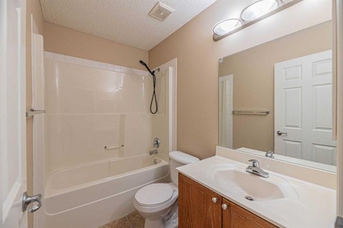 427 Saddlebrook Way Ne, Calgary, AB - Indoor Photo Showing Bathroom