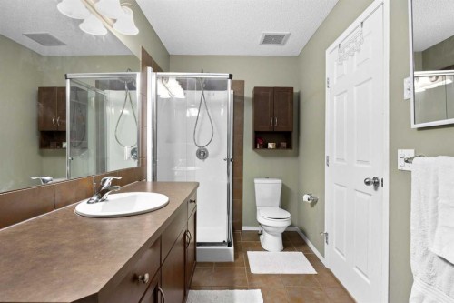 73 Sunset Heights, Cochrane, AB - Indoor Photo Showing Bathroom