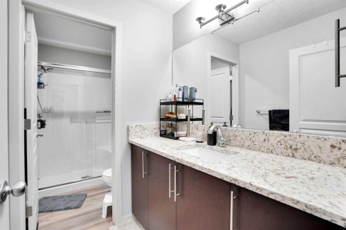 119 Panton Landing Nw, Calgary, AB - Indoor Photo Showing Bathroom