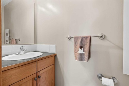 24 Destination Place, Olds, AB - Indoor Photo Showing Bathroom