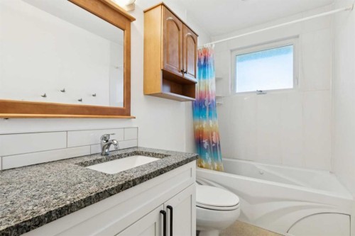 248 Huntcroft Road Ne, Calgary, AB - Indoor Photo Showing Bathroom