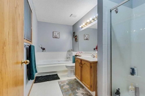 399 Sunlake Road Se, Calgary, AB - Indoor Photo Showing Bathroom