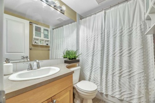 103-222 5 Avenue Ne, Calgary, AB - Indoor Photo Showing Bathroom
