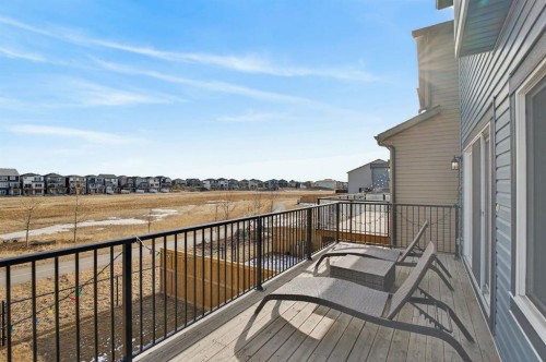 12 Cornerbrook Cove Ne, Calgary, AB - Outdoor