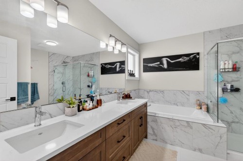 12 Cornerbrook Cove Ne, Calgary, AB - Indoor Photo Showing Bathroom