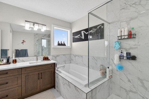 12 Cornerbrook Cove Ne, Calgary, AB - Indoor Photo Showing Bathroom