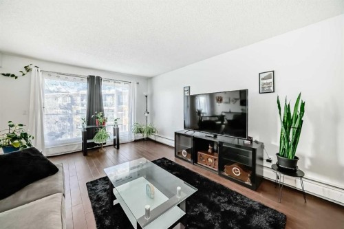 403-4455D Greenview Drive Ne, Calgary, AB - Indoor Photo Showing Living Room