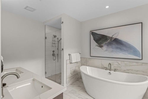 313-1408 Spring Creek Gate, Canmore, AB - Indoor Photo Showing Bathroom