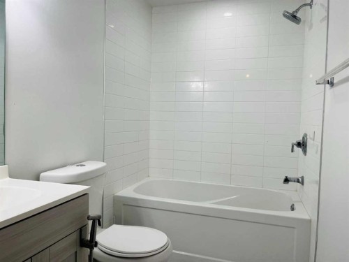 2102-111 Tarawood Lane Ne, Calgary, AB - Indoor Photo Showing Bathroom