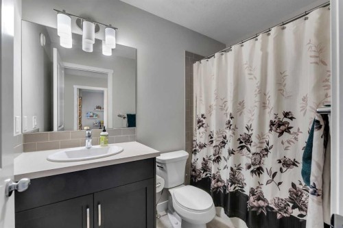 39 Savanna Way Ne, Calgary, AB - Indoor Photo Showing Bathroom
