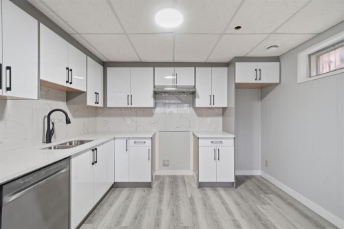 2309 50 Street Ne, Calgary, AB - Indoor Photo Showing Kitchen With Double Sink