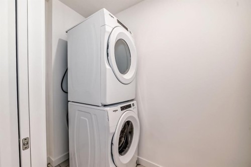 4416-6 Merganser Drive West, Chestermere, AB - Indoor Photo Showing Laundry Room