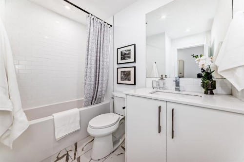 236-110 18A Street Nw, Calgary, AB - Indoor Photo Showing Bathroom