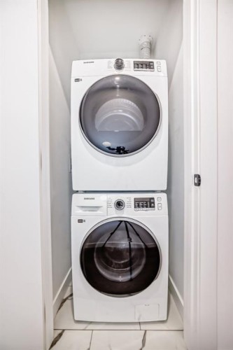 236-110 18A Street Nw, Calgary, AB - Indoor Photo Showing Laundry Room