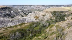 340044 Range Road 215  Rural Starland County, AB T0J 2B0