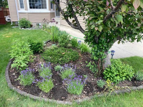 188 Hidden Ranch Crescent Nw, Calgary, AB - Outdoor