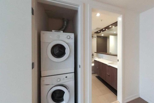 314-51 Waterfront Mews Sw, Calgary, AB - Indoor Photo Showing Laundry Room