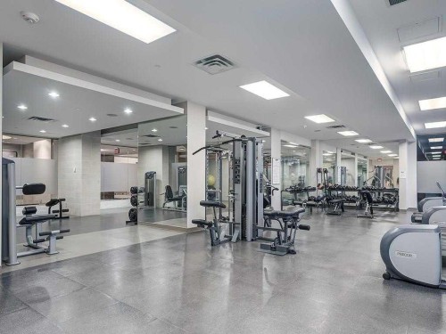 314-51 Waterfront Mews Sw, Calgary, AB - Indoor Photo Showing Gym Room