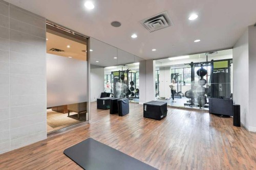 314-51 Waterfront Mews Sw, Calgary, AB - Indoor Photo Showing Gym Room