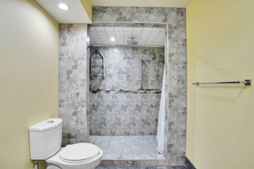 131 Martinridge Grove Ne, Calgary, AB - Indoor Photo Showing Bathroom