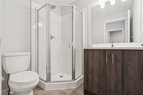 412-700 Shawnee Square Sw, Calgary, AB - Indoor Photo Showing Bathroom