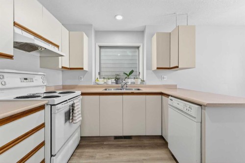 196 Deersaxon Circle Se, Calgary, AB - Indoor Photo Showing Kitchen With Double Sink