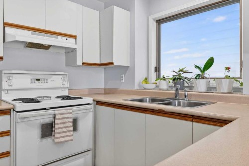 196 Deersaxon Circle Se, Calgary, AB - Indoor Photo Showing Kitchen With Double Sink