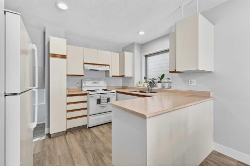 196 Deersaxon Circle Se, Calgary, AB - Indoor Photo Showing Kitchen With Double Sink