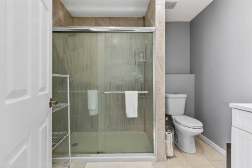 196 Deersaxon Circle Se, Calgary, AB - Indoor Photo Showing Bathroom