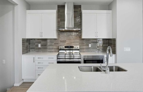 123 Cityside Crescent Ne, Calgary, AB - Indoor Photo Showing Kitchen With Double Sink With Upgraded Kitchen