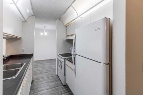314-21 Dover Point Se, Calgary, AB - Indoor Photo Showing Kitchen With Double Sink
