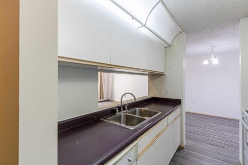 314-21 Dover Point Se, Calgary, AB - Indoor Photo Showing Kitchen With Double Sink