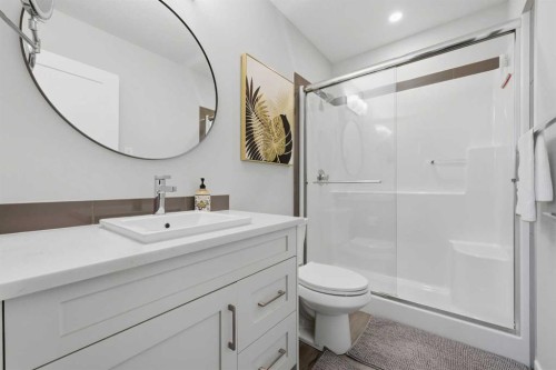 4210-200 Seton Circle Se, Calgary, AB - Indoor Photo Showing Bathroom