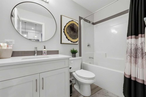 4210-200 Seton Circle Se, Calgary, AB - Indoor Photo Showing Bathroom