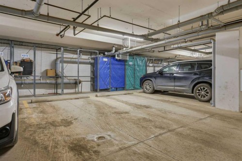 4210-200 Seton Circle Se, Calgary, AB - Indoor Photo Showing Garage
