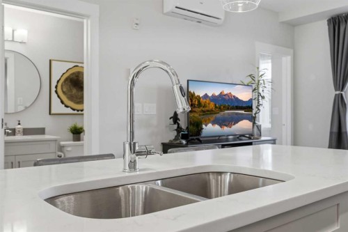 4210-200 Seton Circle Se, Calgary, AB - Indoor Photo Showing Kitchen With Double Sink