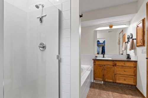 921 Cranston Drive Se, Calgary, AB - Indoor Photo Showing Bathroom