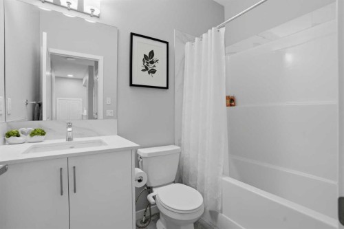 276 Calhoun Crescent Ne, Calgary, AB - Indoor Photo Showing Bathroom