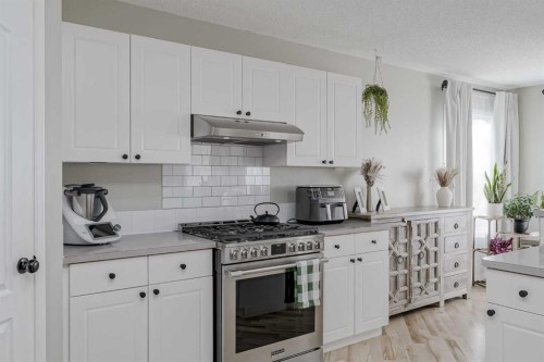 67 Silver Springs Way Nw, Airdrie, AB - Indoor Photo Showing Kitchen