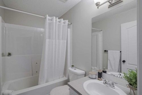 67 Silver Springs Way Nw, Airdrie, AB - Indoor Photo Showing Bathroom
