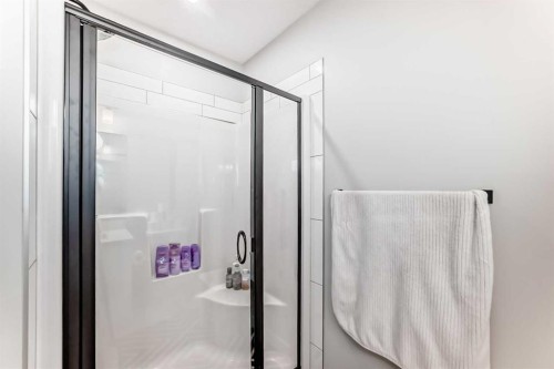 71 Skyview Ranch Avenue Ne, Calgary, AB - Indoor Photo Showing Bathroom