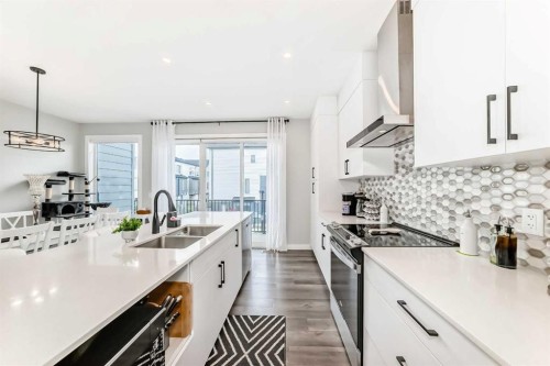 71 Skyview Ranch Avenue Ne, Calgary, AB - Indoor Photo Showing Kitchen With Double Sink With Upgraded Kitchen