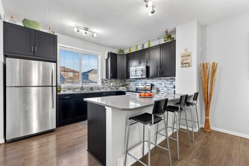 140 Savanna Road Ne, Calgary, AB - Indoor Photo Showing Kitchen With Upgraded Kitchen