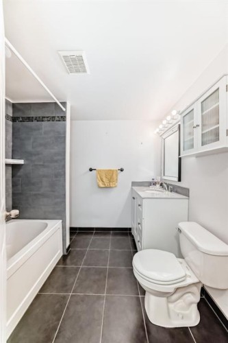 236 Pinecliff Way Ne, Calgary, AB - Indoor Photo Showing Bathroom