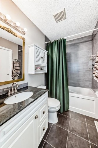 236 Pinecliff Way Ne, Calgary, AB - Indoor Photo Showing Bathroom