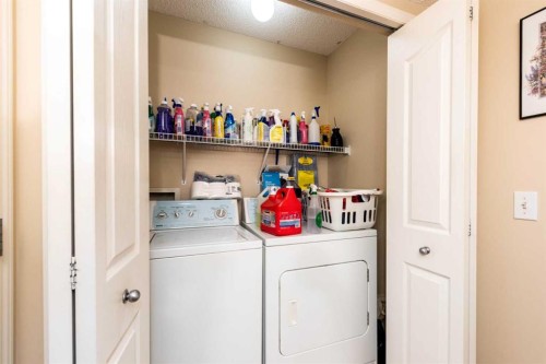 84 Tarington Way Ne, Calgary, AB - Indoor Photo Showing Laundry Room