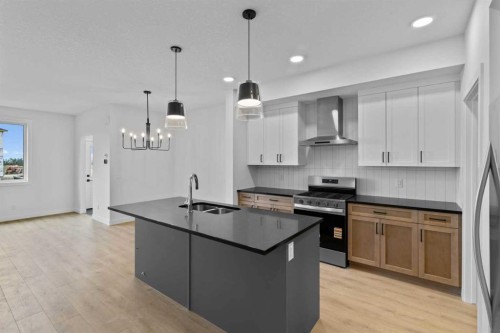 175 Belvedere Crescent Se, Calgary, AB - Indoor Photo Showing Kitchen With Double Sink With Upgraded Kitchen